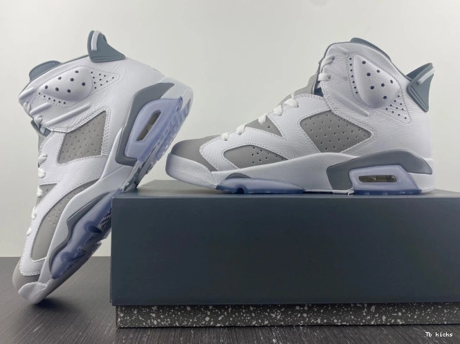 Reps TBK Air Jordan Grey CT8529-100 6 Cool 0706